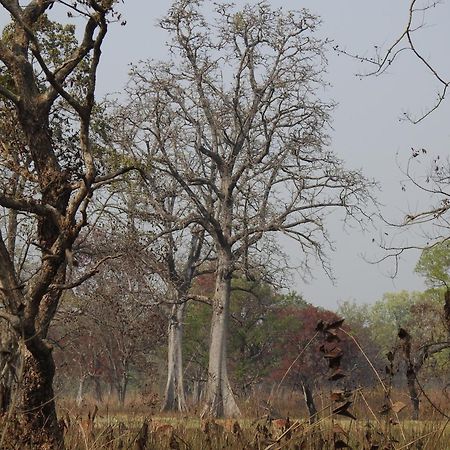 Babai Resort Pvt Ltd Bardiya Exteriör bild