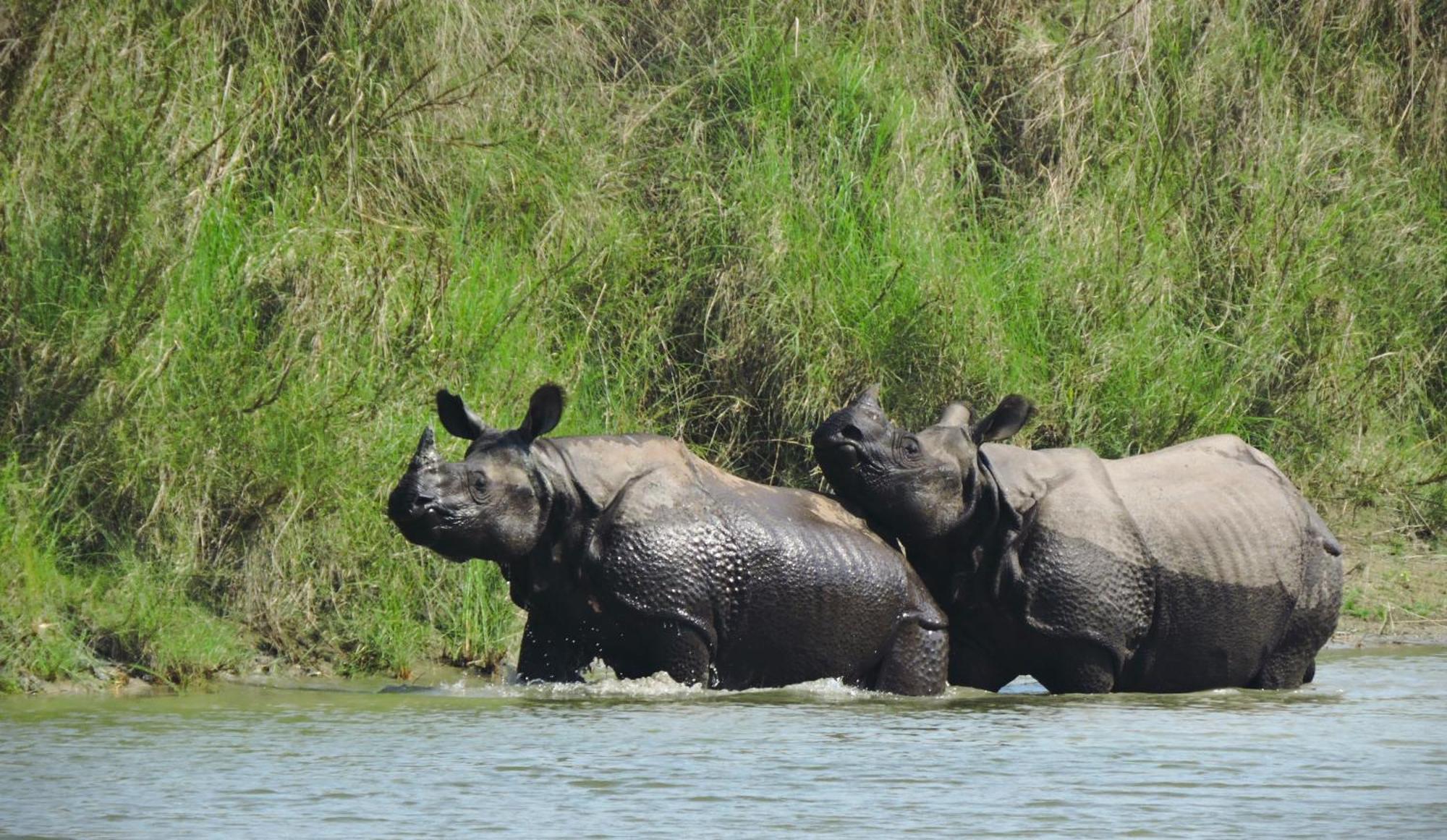 Babai Resort Pvt Ltd Bardiya Exteriör bild